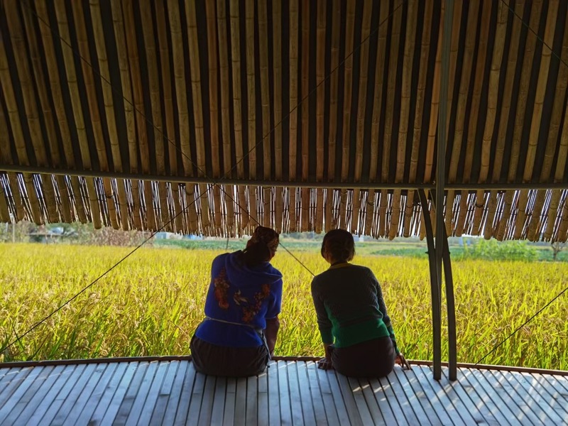 在上海,這些農場正越來越受歡迎
